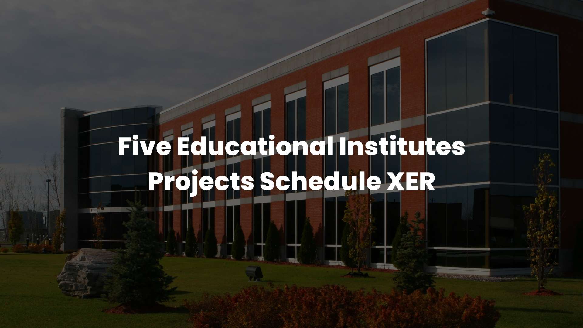 Five Educational Institutes Projects Schedule XER 2