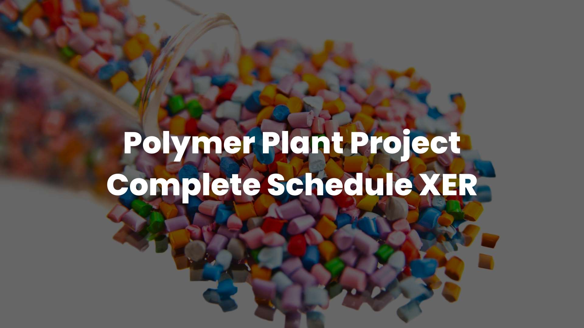 Polymer Plant Project Complete Schedule