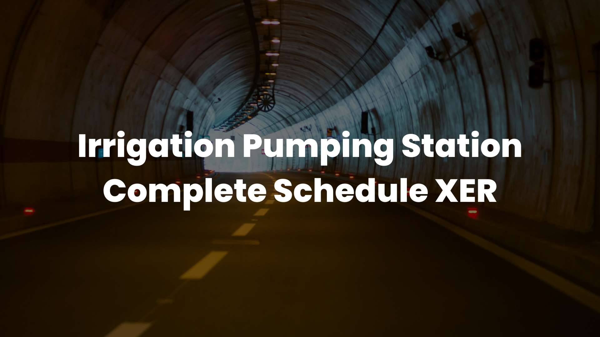 Tunnel Electro Mechanical Project Schedule XER