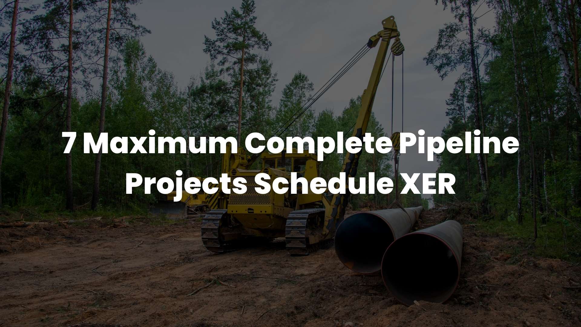 Water Distribution Network Project Schedule XER 3