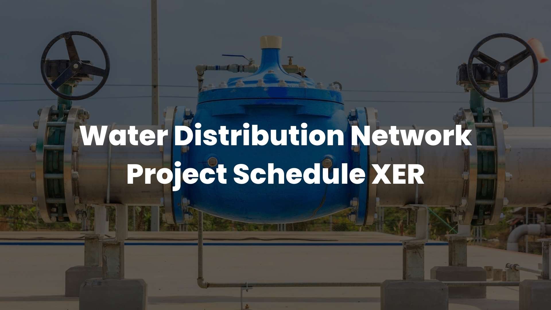 Water Distribution Network Project Schedule XER