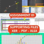 Planning Engineer Interview Assignment 01
