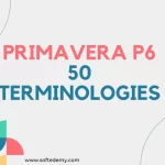 Understanding Primavera P6 Through 50 Core Terminologies
